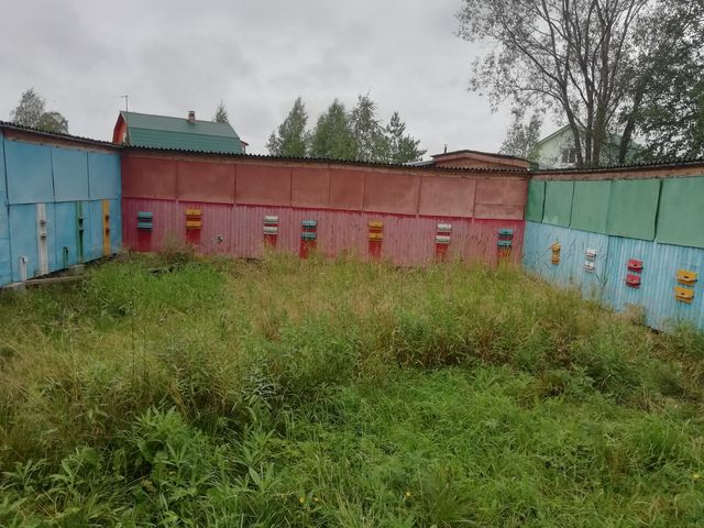 В гостях у карельского пчеловода — фото 3