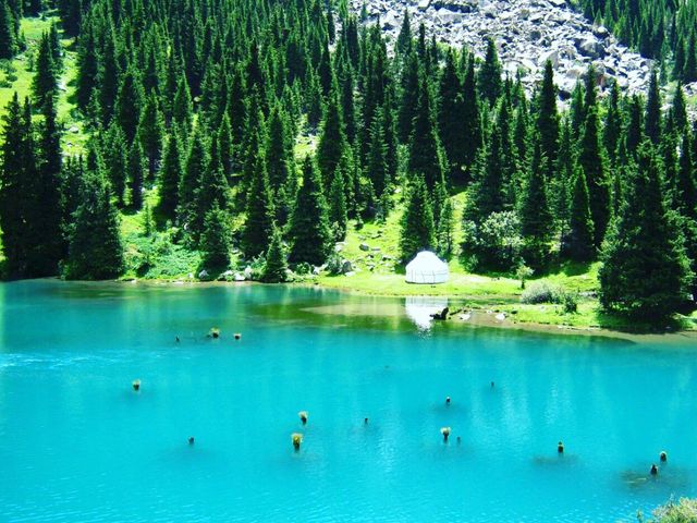 Тур на 1 день в горные ущелья Иссык-Куля — фото 2