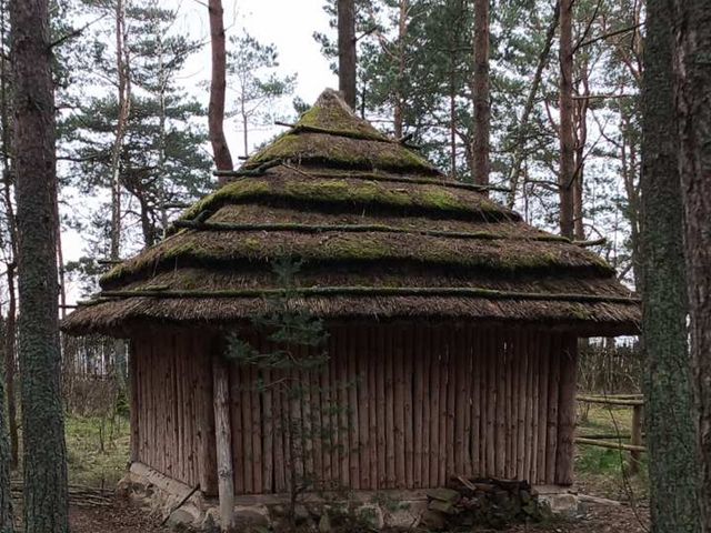 Куршская коса: перезагрузка от городской суеты — фото 2