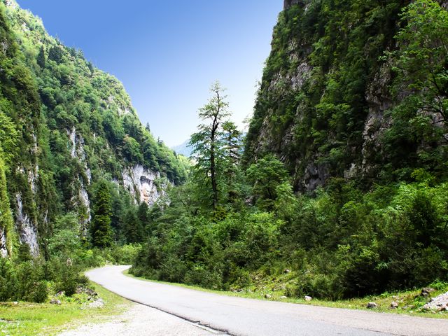 Обзорная экскурсия из Сочи по лучшим местам Абхазии — фото 3