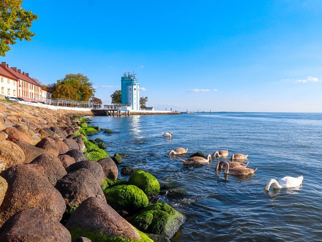 Экскурсия из Калининграда: Запад Балтийска и Балтийской косы — фото 3