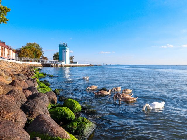 Обзорный тур из Калининграда в Балтийск, Янтарный и Светлогорск — фото 2