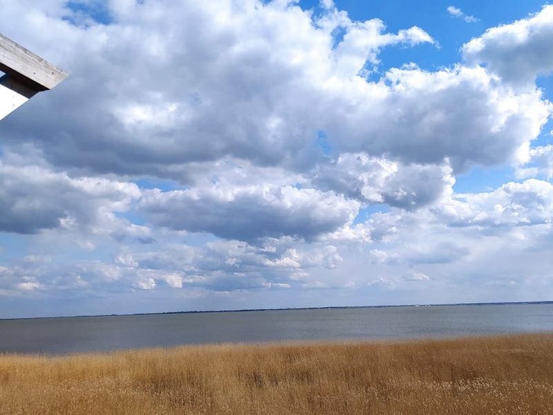 Панорамы