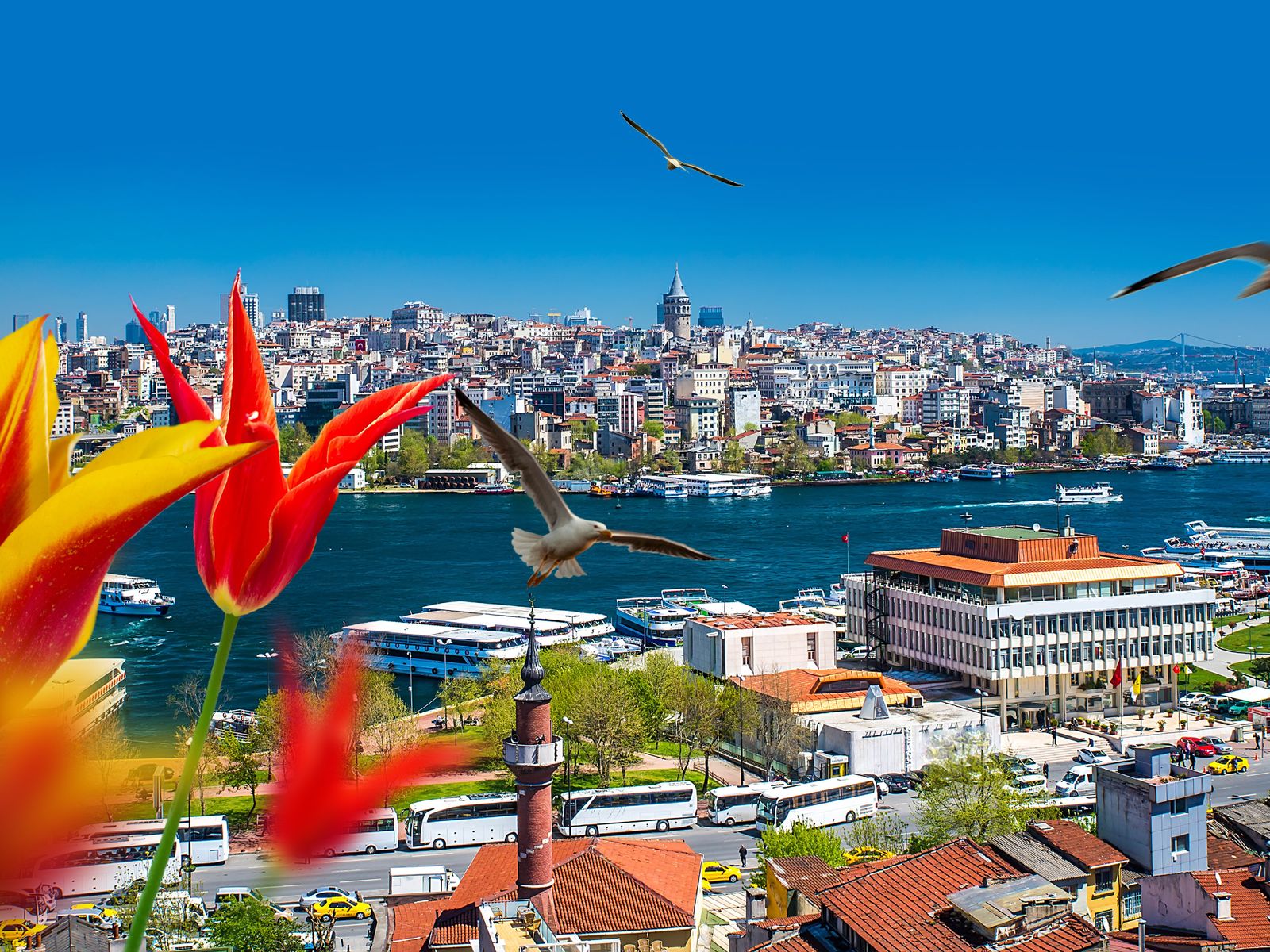 Вид на Стамбул