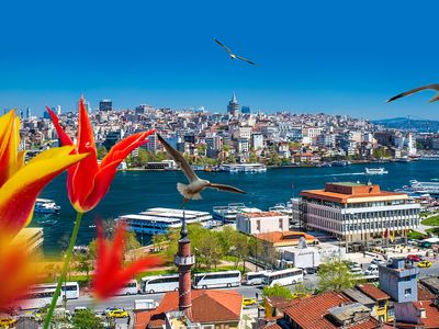  Мечети, чайки и Босфор — главные символы Стамбула