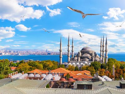 Притягательный Стамбул: рынок, котики, набережная 