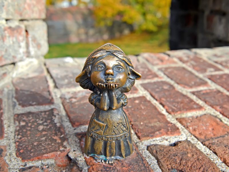 Калининградский хомлин