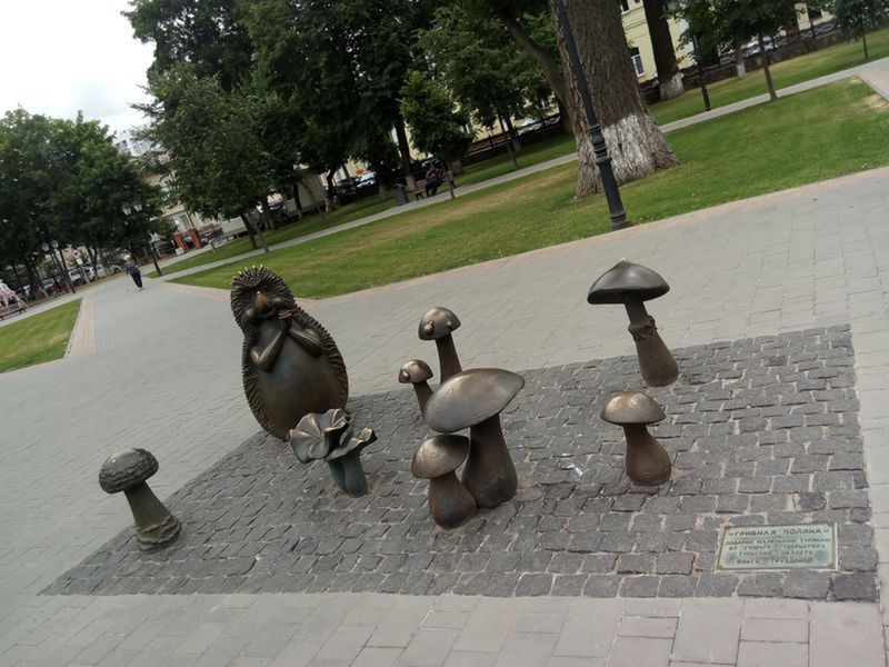 Грибная полянка
