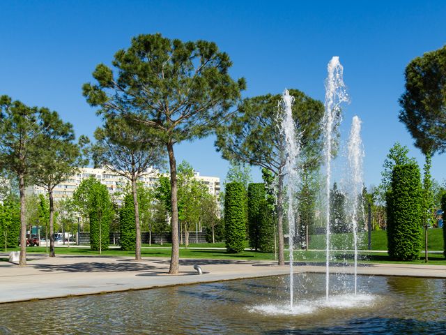 Индивидуальная экскурсия «Диковинки парка Галицкого» в Краснодаре — фото 2