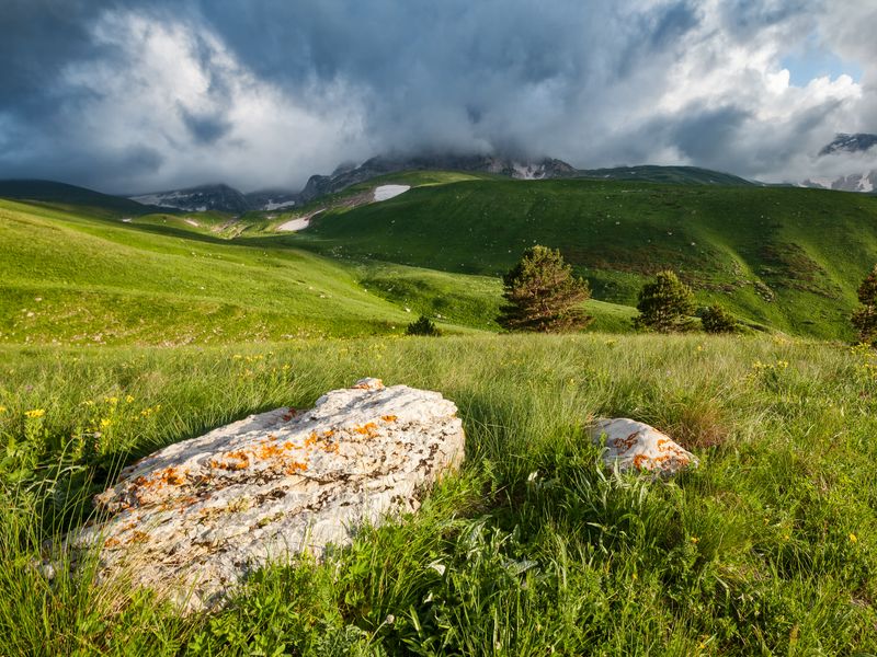 Луга