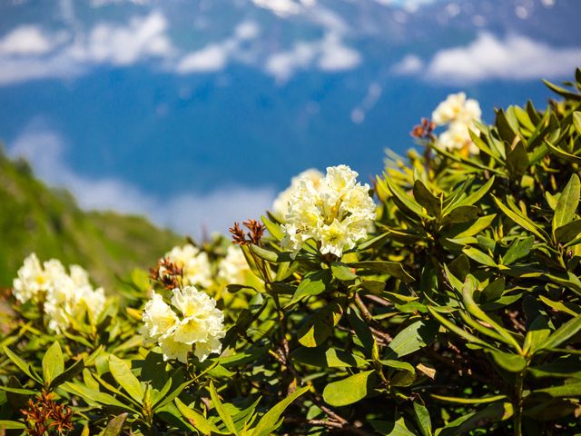 Обзорная горная экскурсия к Эльбрусу из Кисловодска в группе — фото 2