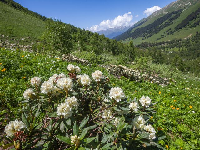 Обзорная экскурсия к Софийским водопадам Архыза из Кисловодска — фото 2