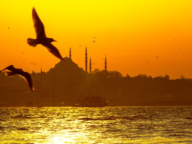 Фотосессия в Стамбуле: вы и город в удачном кадре!