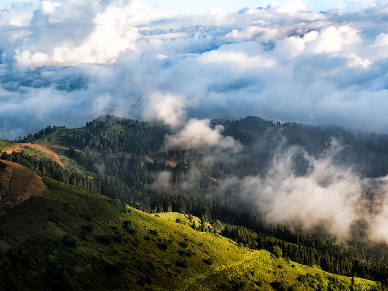 Панорамы