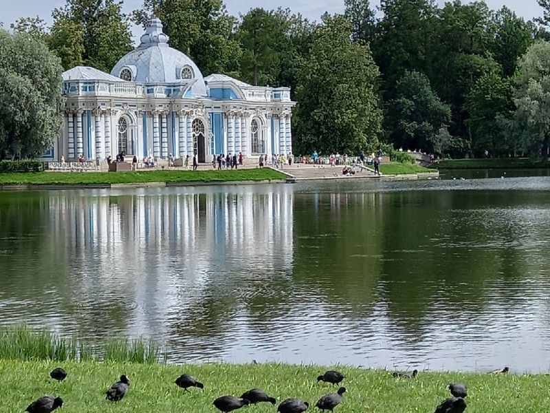 На пруду