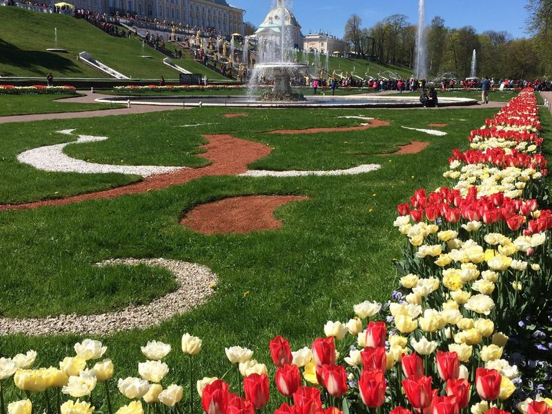 В Петергофе