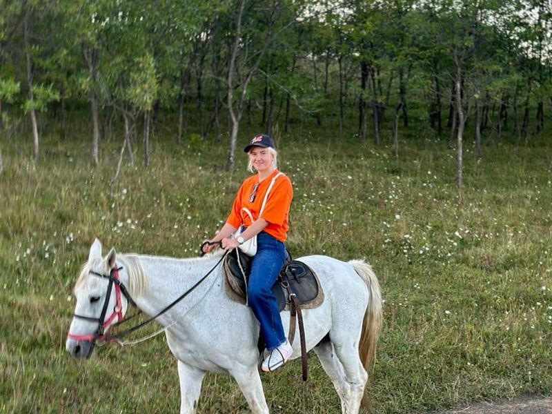Белая лошадка