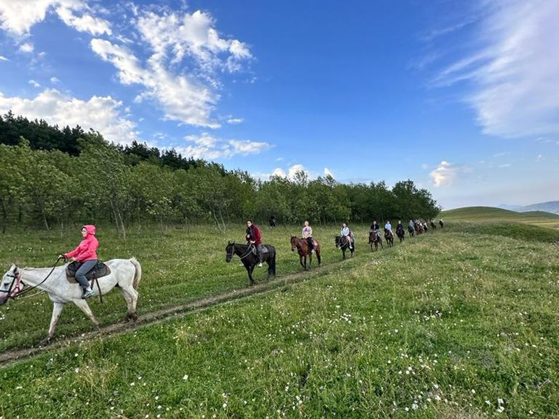 По Берёзовскому ущелью на лошадях в группе - групповая экскурсия в Кисловодске на машине гида длительностью 2 часа с количеством участников до 10 человек цена экскурсии 2000₽
