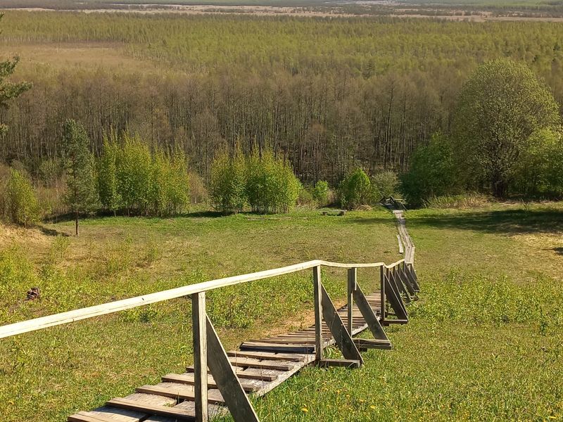 Вид на Исуповское болото