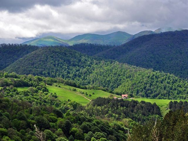 Обзорная экскурсия из Еревана в Цахкадзор, Севан и Дилижан — фото 3