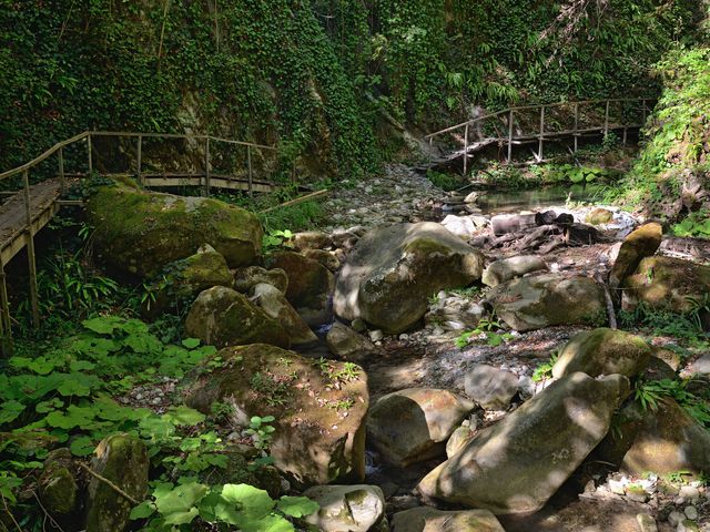 Обзорная групповая экскурсия из Лазаревского к 33 водопадам — фото 3