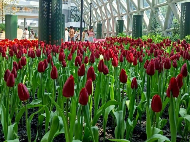 Групповая обзорная экскурсия из Паттайи в Золотой мангровый лес — фото 3