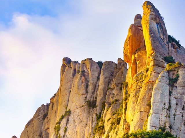 Экскурсия «Монастырь горы Монтсеррат и Бодегас Торрес» — фото 3