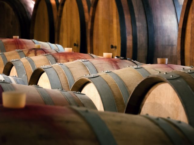 Экскурсия из Триеста по ведущим винодельням Фриули-Венеция-Джулия — фото 3