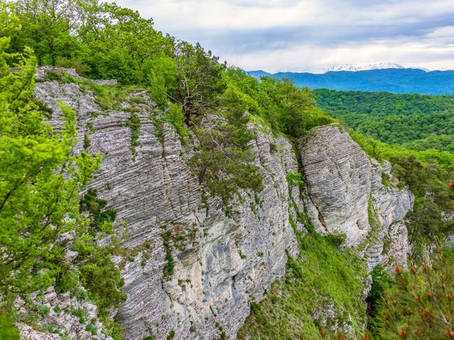 Индивидуальная экскурсия «Хоста: живописный район Сочи» — фото 2