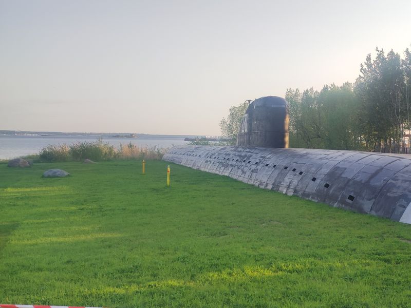 Субмарина