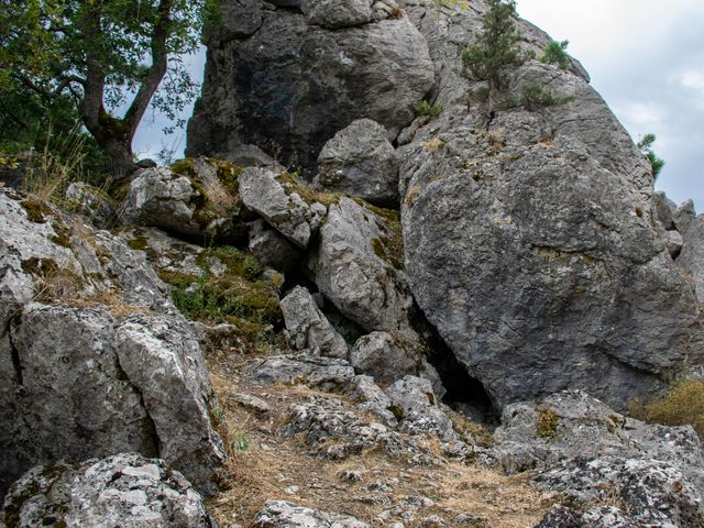 Тайны старинной Массандры — фото 3