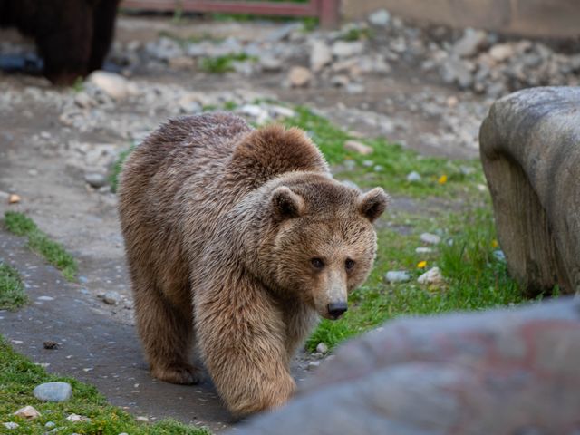 Индивидуальная экскурсия из Кисловодска в Домбай — фото 2
