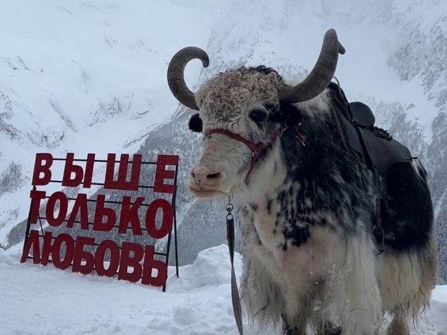Индивидуальная экскурсия из Кисловодска в Домбай — фото 3