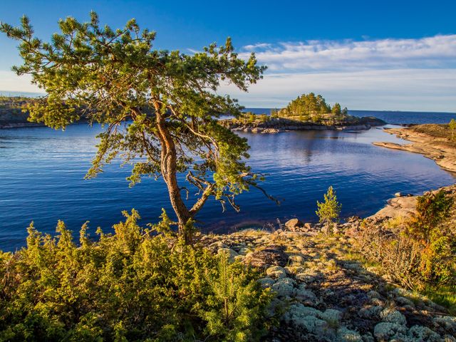 Экскурсия из Сортавалы по Ладожским шхерам (летний маршрут) — фото 2