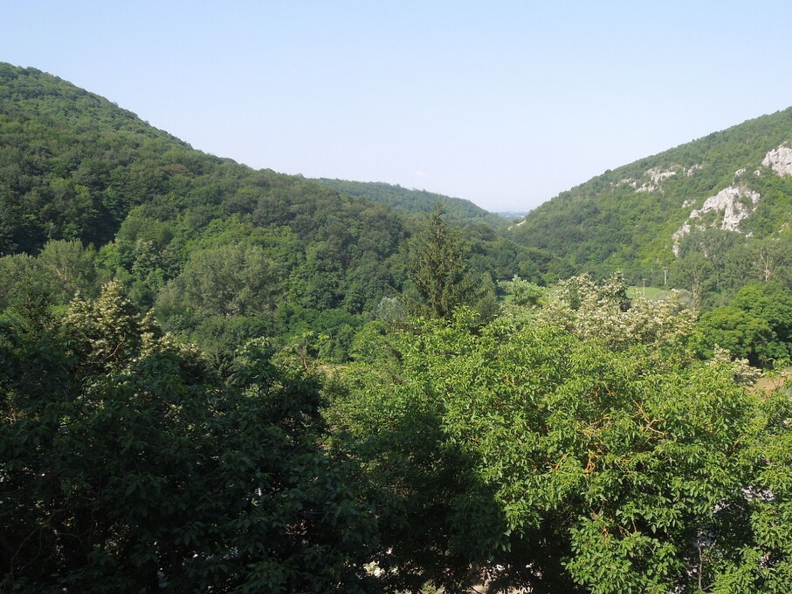 Панорамы