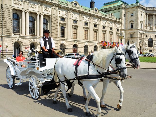 Индивидуальная авто-пешеходная экскурсия в Вене — фото 2