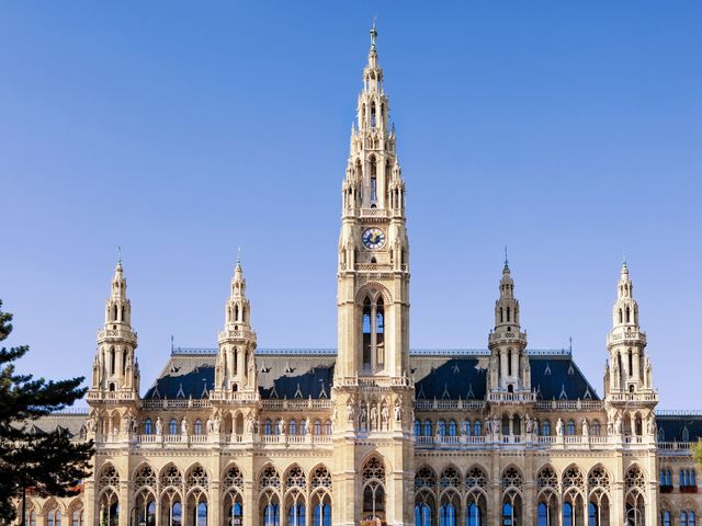 Индивидуальная пешеходная экскурсия в сердце Вены — фото 2