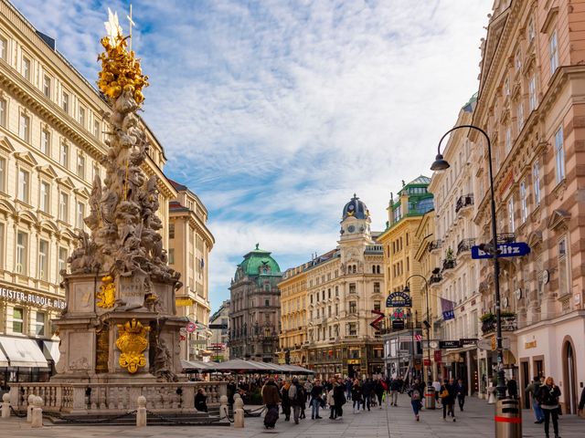Индивидуальная пешеходная экскурсия по старинным улочкам Вены — фото 2
