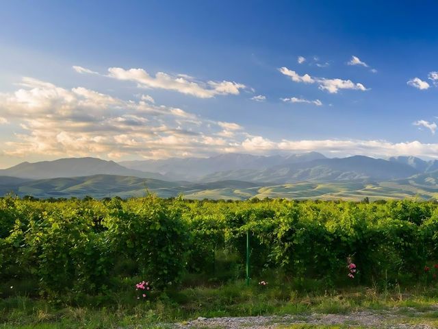 На винодельню у предгорья Алатау в группе — фото 2