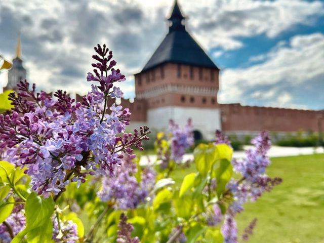 Обзорная групповая экскурсия по Старому городу Тулы — фото 3