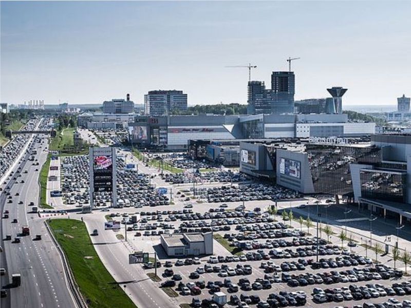 Крокус