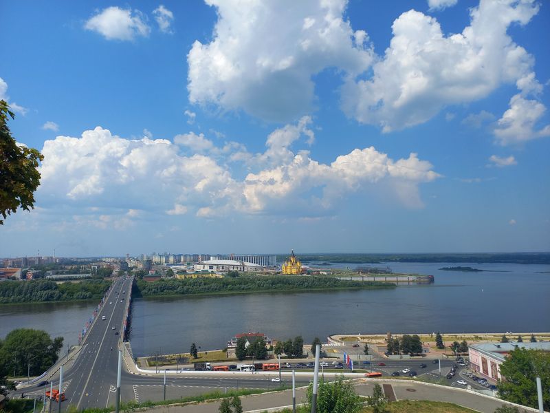 Виды