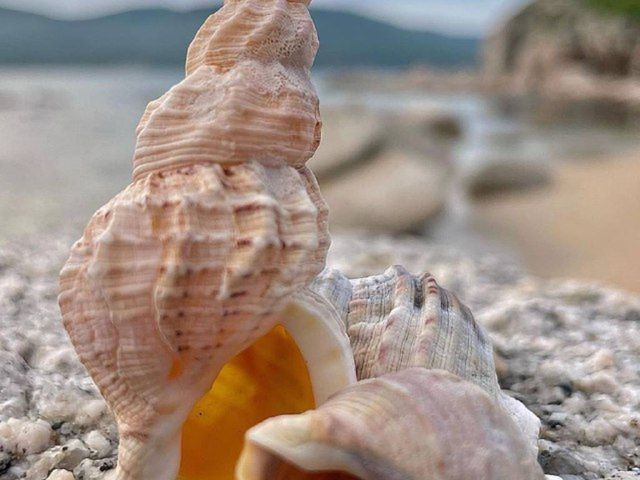 Приморские Мальдивы: Триозерье+Окуневая+Спокойная — фото 3