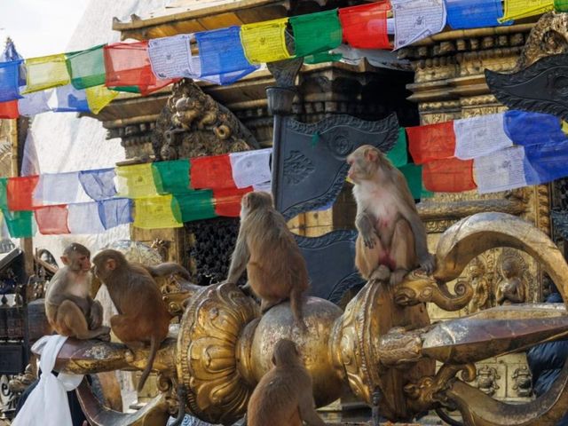 Экскурсия в Катманду: Лучшие смотровые площадки — фото 3