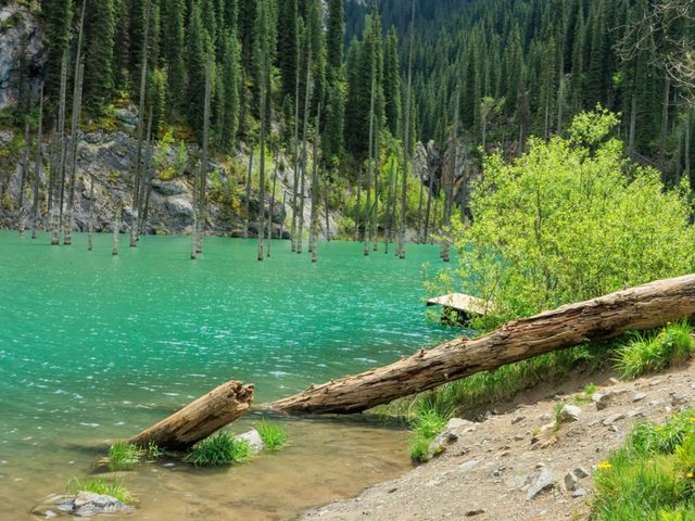 Каинды и Кольсай: альпийские панорамы в Казахстане — фото 2