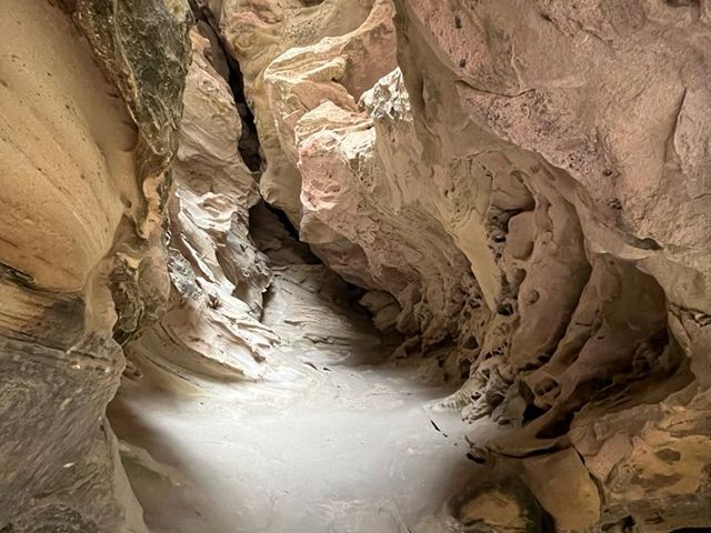 В Домбай из Кисловодска: "Кавказская Швейцария" — фото 2