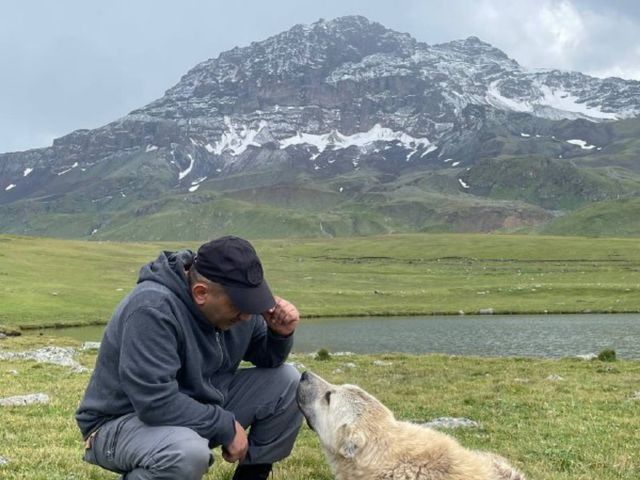 Экскурсия из Еревана: Северная стена Арагаца и озеро Рапи — фото 2