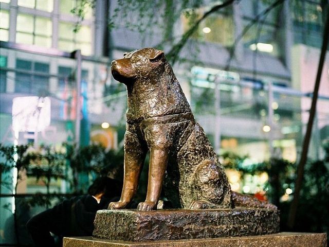 Индивидуальная экскурсия «Токио: продолжение прогулки» — фото 3