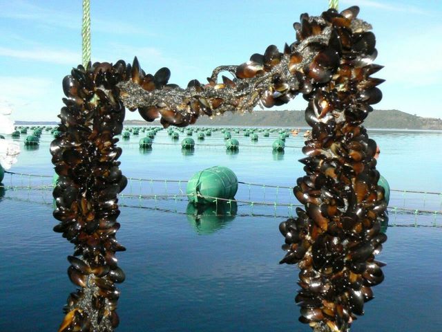 Индивидуальная экскурсия по Владивостоку и его окрестностям — фото 2