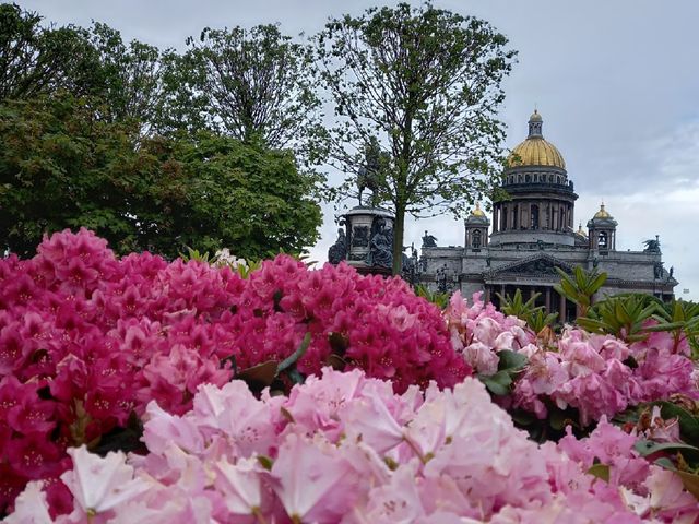 Обзорный сити-тур в Санкт-Петербурге с посещением Эрмитажа — фото 2